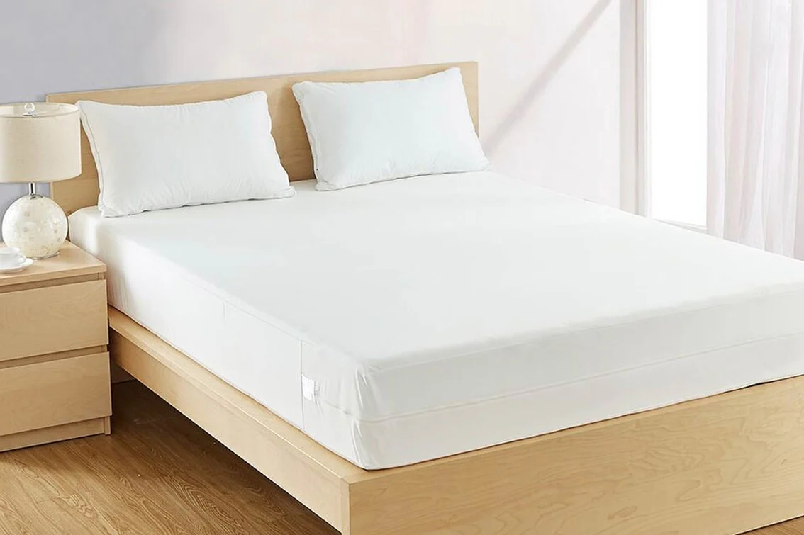 Traitement des punaises de lit – Image 2