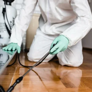 Contrat de gestion des nuisibles