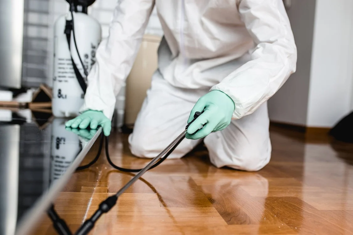 Contrat de gestion des nuisibles