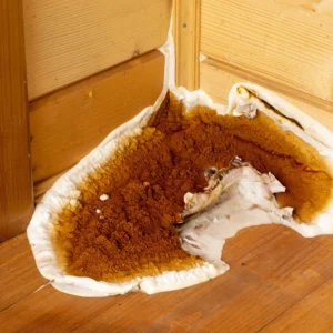 Analyse Mérule & Champignons