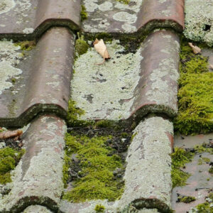 Traitement et entretien des toitures